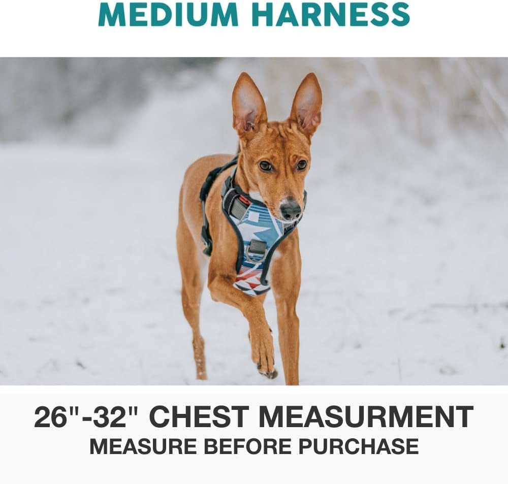 Embark Urban Dog Harness, No Pull Dog Harness with 2 Leash Clips, Dog Harness for Medium Dogs No Pull. Front & Back with Control Handle, Adjustable Black Dog Vest, Soft & Padded for Comfort
