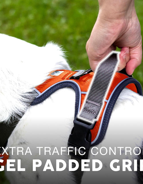 Load image into Gallery viewer, Embark Urban Dog Harness, No Pull Dog Harness with 2 Leash Clips, Dog Harness for Medium Dogs No Pull. Front &amp; Back with Control Handle, Adjustable Black Dog Vest, Soft &amp; Padded for Comfort
