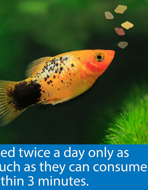 Load image into Gallery viewer, FISH FOOD FLAKES, Formulated to Help Fish More Readily Use Nutrients Which Means Less Waste and Clean, Clear Water, Feed up to Twice a Day as Much as They'Ll Eat in 5 Minutes
