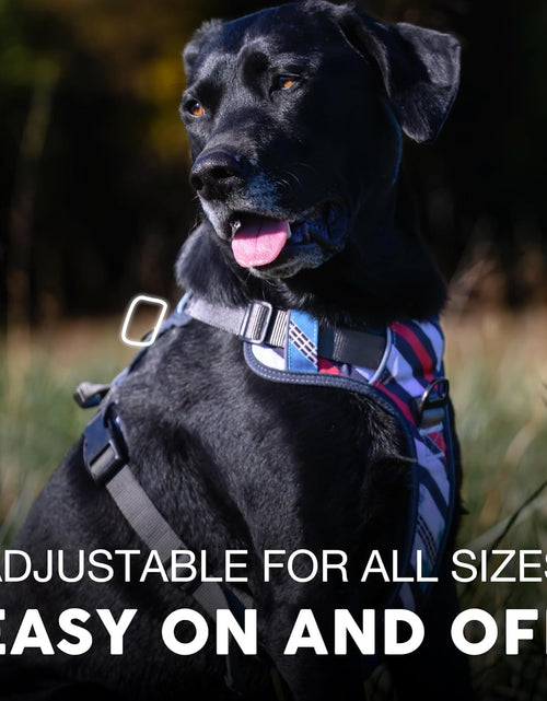 Load image into Gallery viewer, Embark Urban Dog Harness, No Pull Dog Harness with 2 Leash Clips, Dog Harness for Medium Dogs No Pull. Front &amp; Back with Control Handle, Adjustable Black Dog Vest, Soft &amp; Padded for Comfort
