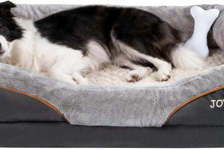 Large Memory Foam Dog Bed, Orthopedic Dog Bed & Sofa with Removable Washable Cover and Squeaker Toy as Gift