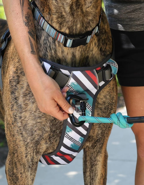 Load image into Gallery viewer, Embark Urban Dog Harness, No Pull Dog Harness with 2 Leash Clips, Dog Harness for Medium Dogs No Pull. Front &amp; Back with Control Handle, Adjustable Black Dog Vest, Soft &amp; Padded for Comfort
