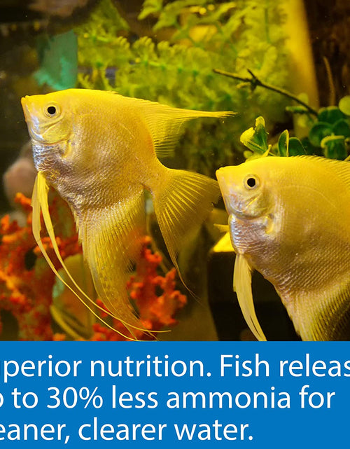 Load image into Gallery viewer, FISH FOOD FLAKES, Formulated to Help Fish More Readily Use Nutrients Which Means Less Waste and Clean, Clear Water, Feed up to Twice a Day as Much as They'Ll Eat in 5 Minutes
