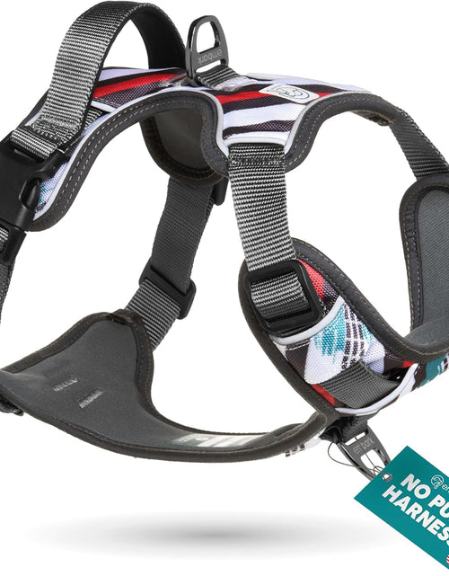 Load image into Gallery viewer, Embark Urban Dog Harness, No Pull Dog Harness with 2 Leash Clips, Dog Harness for Medium Dogs No Pull. Front &amp; Back with Control Handle, Adjustable Black Dog Vest, Soft &amp; Padded for Comfort

