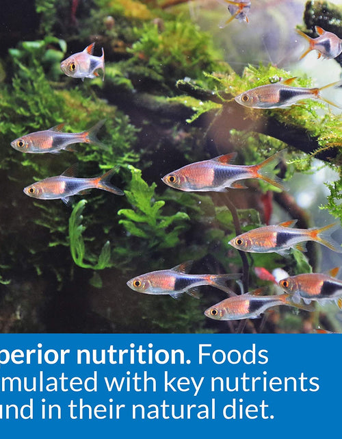 Load image into Gallery viewer, FISH FOOD FLAKES, Formulated to Help Fish More Readily Use Nutrients Which Means Less Waste and Clean, Clear Water, Feed up to Twice a Day as Much as They'Ll Eat in 5 Minutes
